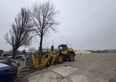 Grote boom verplaatsen met verplantschop op locatie