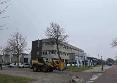 Boom verplaatsen op een bedrijfsterrein met professionele verplantschop